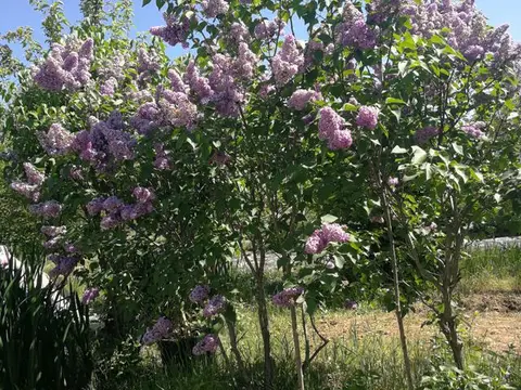 Prodavam plac vo Volkovo 1400m2