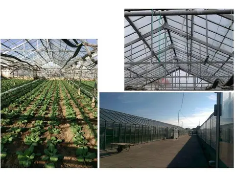Се продава стакленик за цвеќарство