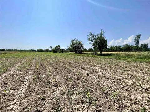 Se prodava niva od 2450m2 vo Gorno Lisice