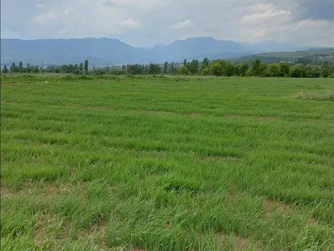 Gradezno zemjiste 3927m2 Bardovci