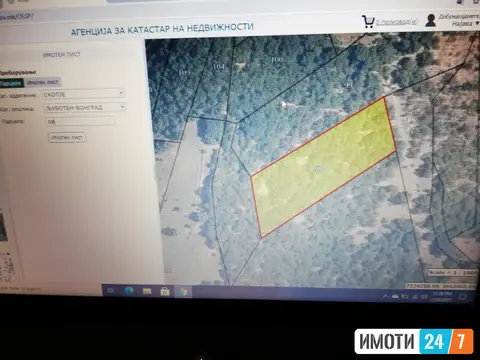 Дабова шума