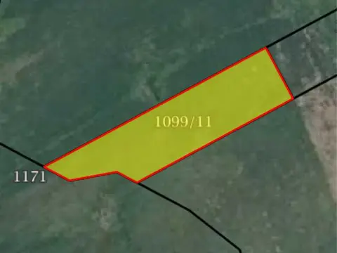 Niva 810m2 o.Lozovo Adzimatovo 24000 denari