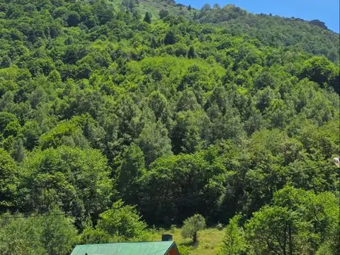 Пелистер Плац