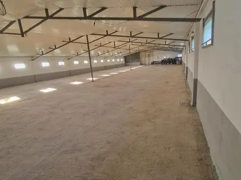 Се продава или издава ФАРМА