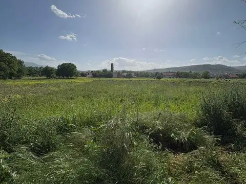 Савиќ продава плац во волково