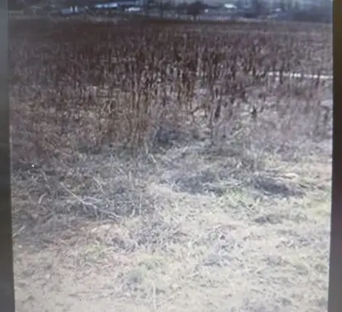 Се продава нива